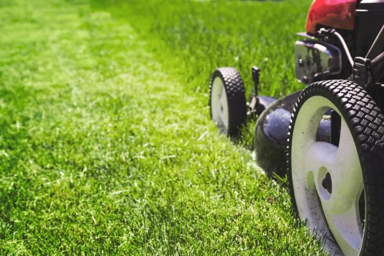 grass cutting near me