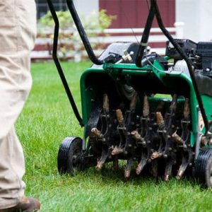 Lawn Aeration & Fertilizing