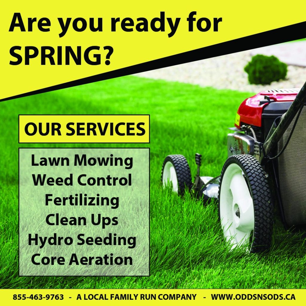 Landscaping Durham Region