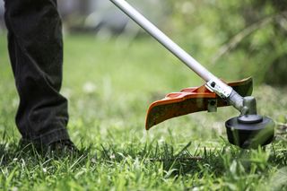 lawn care near me