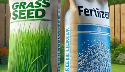 DALL·E-2025-02-01-14.09.17-A-highly-realistic-image-of-two-large-bags-standing-upright-on-a-green-lawn.-One-bag-is-labeled-Grass-Seed-with-an-image-of-thick-lush-grass-and-t-e1738437665640.webp DALL·E-2025-02-01-14.09.17-A-highly-realistic-image-of-two-large-bags-standing-upright-on-a-green-lawn.-One-bag-is-labeled-Grass-Seed-with-an-image-of-thick-lush-grass-and-t-e1738437665640.webp